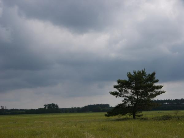 2004-06-13 10:30:27