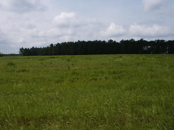 2004-06-13 10:42:05