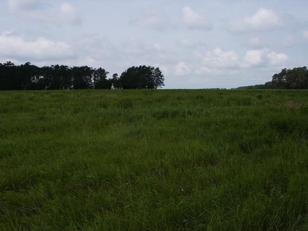 2004-06-13 10:42:30