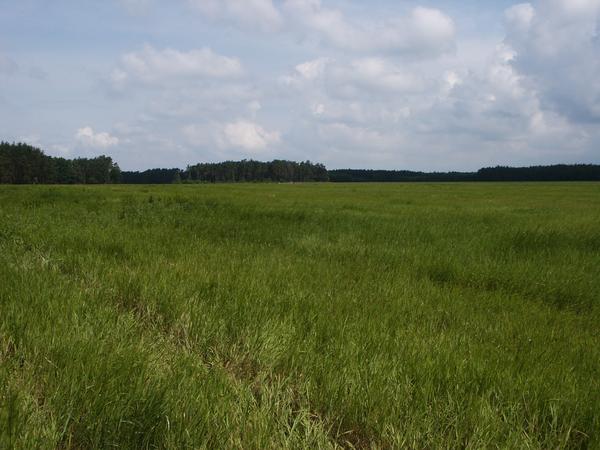 2004-06-13 10:42:49