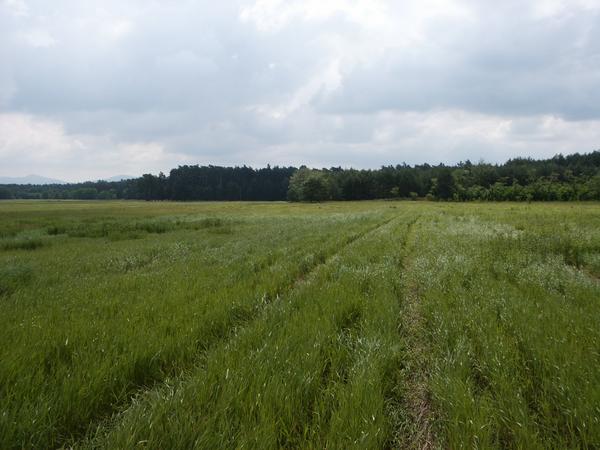 2004-06-13 10:44:14