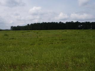 2004-06-13 10:42:05