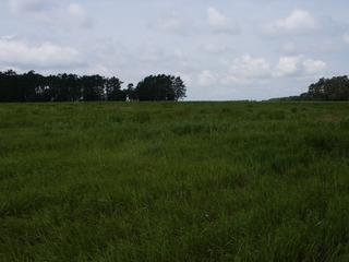 2004-06-13 10:42:30
