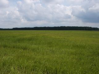 2004-06-13 10:43:01
