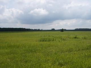 2004-06-13 10:43:57