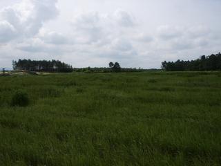 2004-06-13 10:44:42